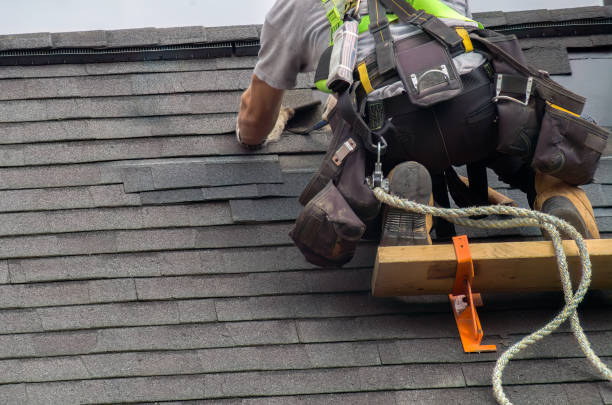 Best Roof Restoration Services  in Perry, MI