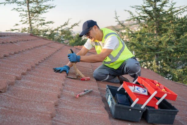 Best Commercial Roofing Services  in Perry, MI