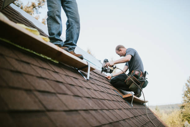 Best Roof Gutter Cleaning  in Perry, MI